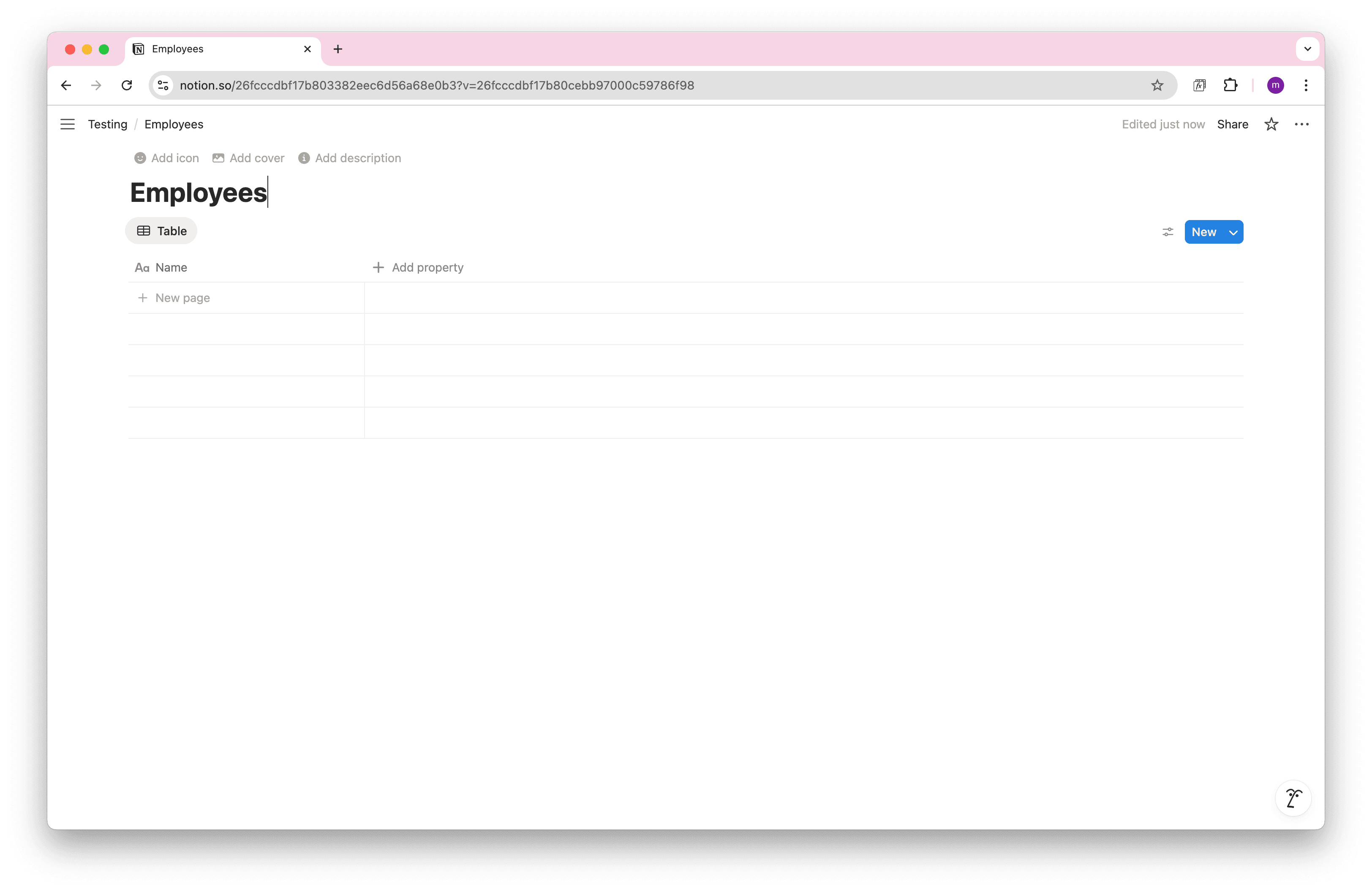 BambooHR Notion Database Setup
