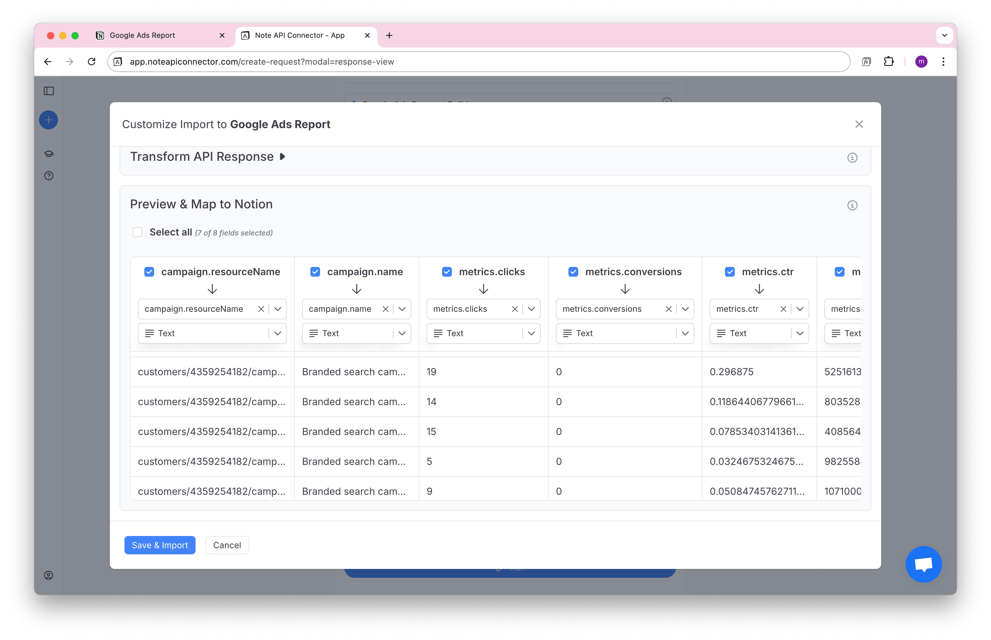 Google Ads Data Preview