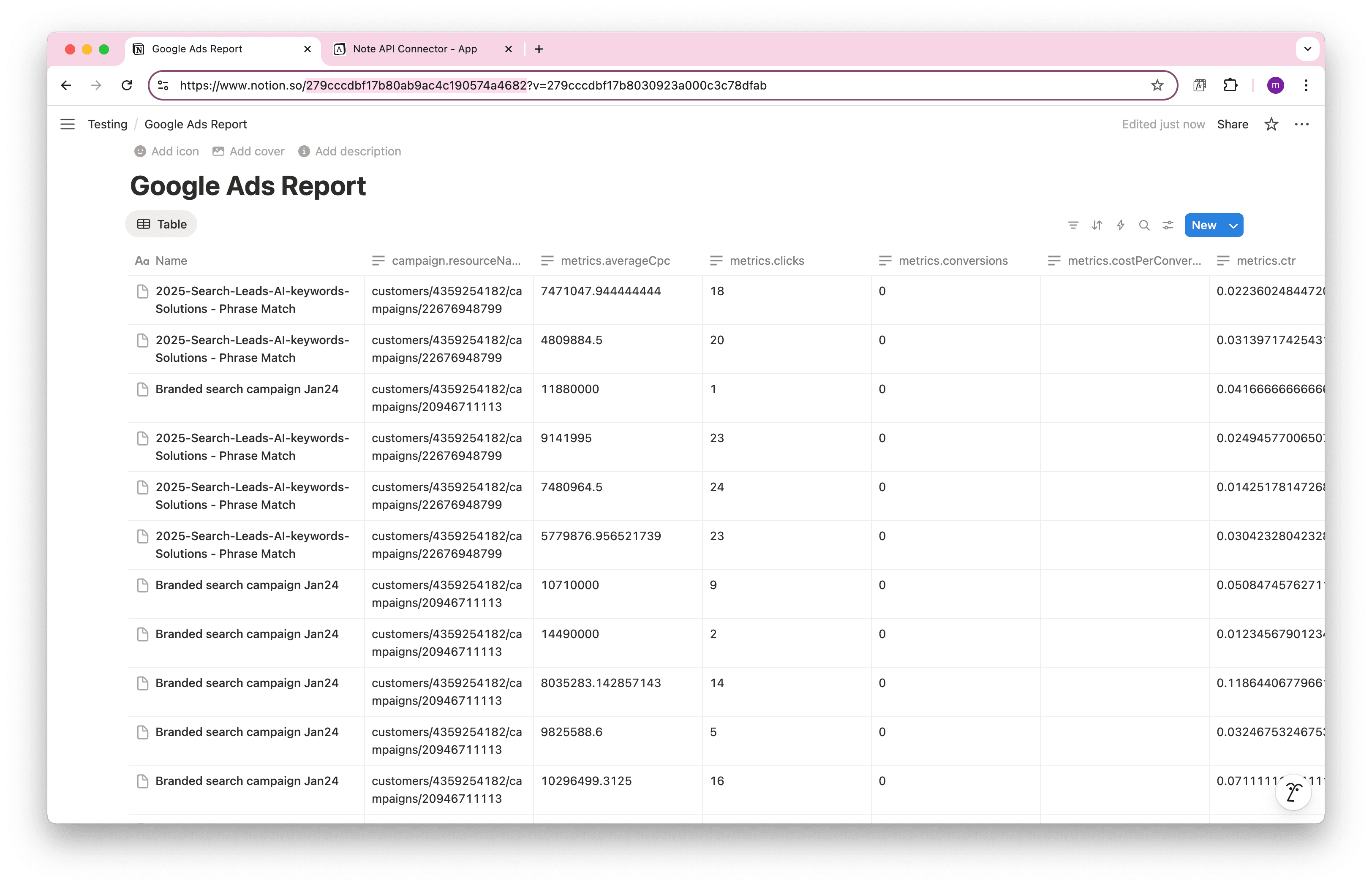 Google Ads Data in Notion