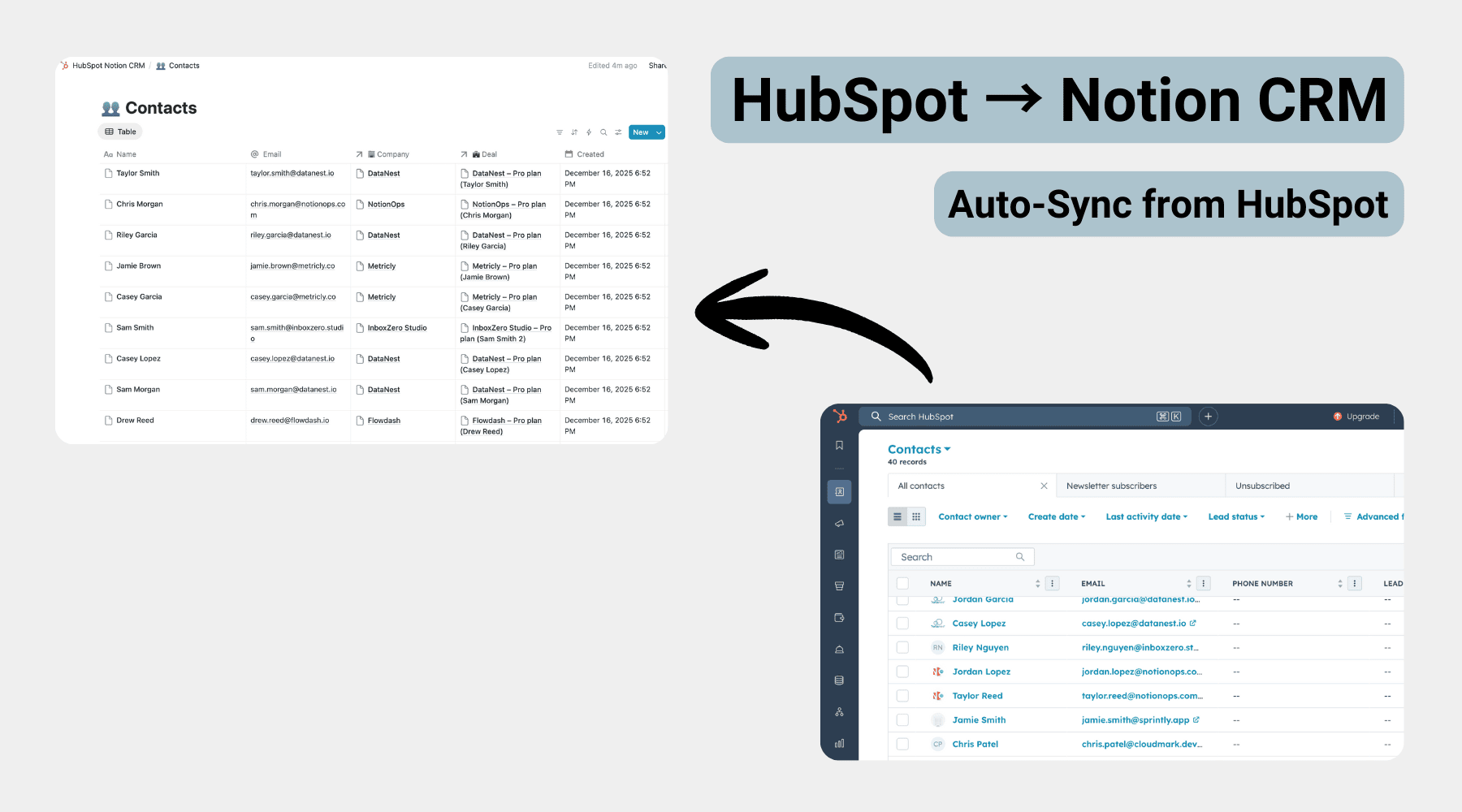 HubSpot Notion CRM Template preview