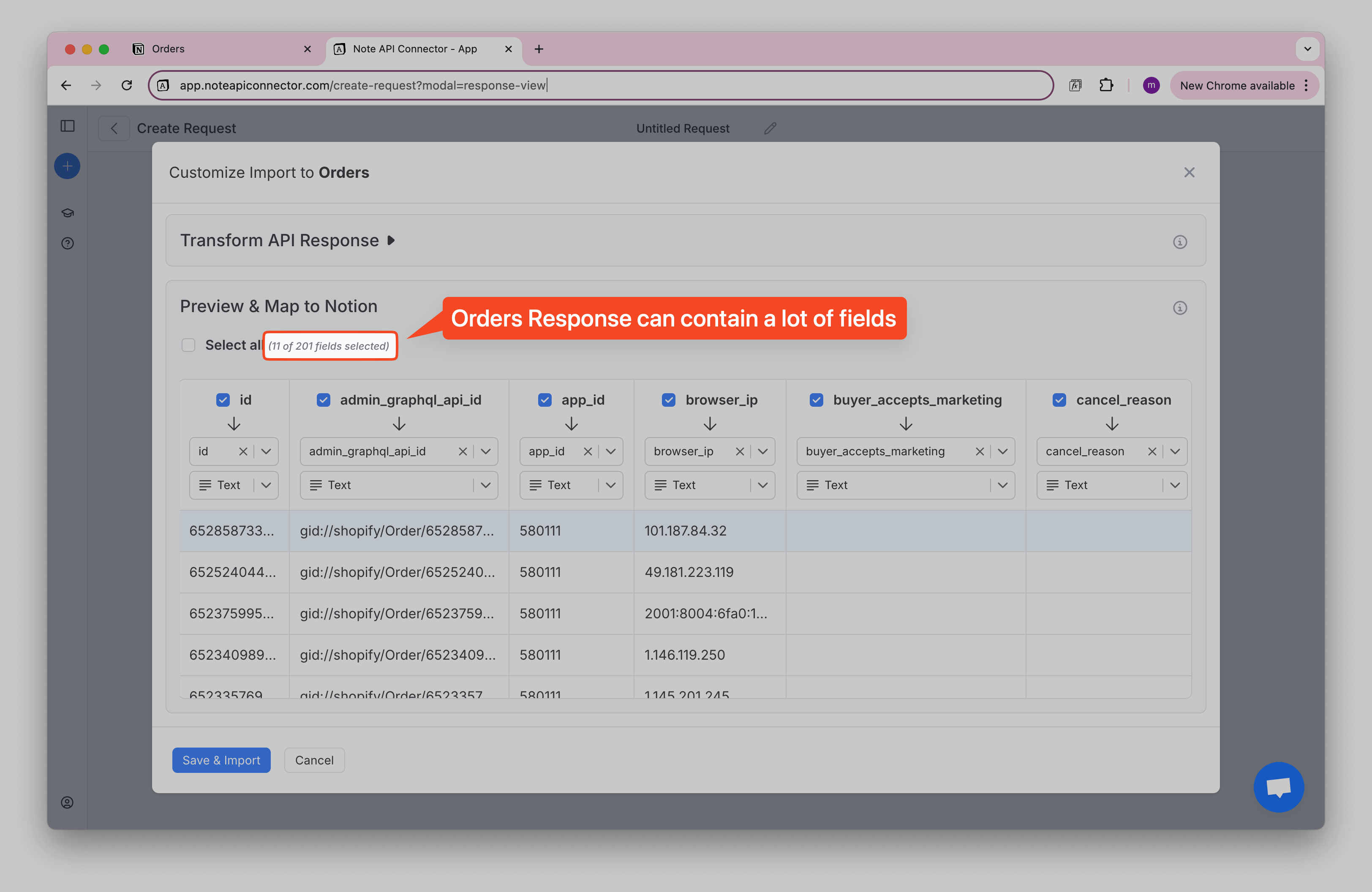 Notion Shopify Orders Data