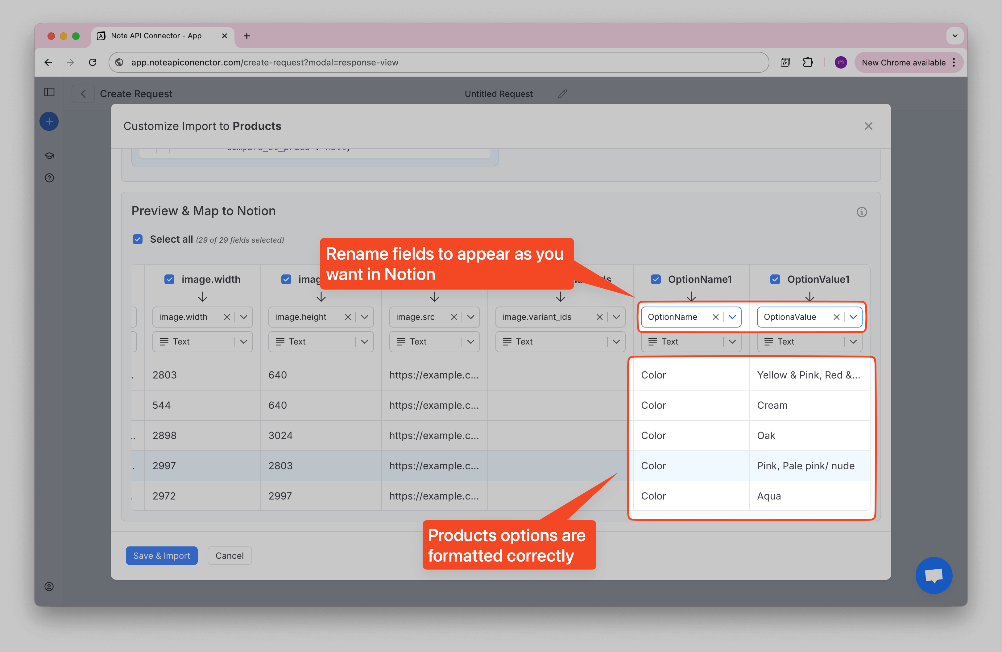 Notion Shopify Products Data