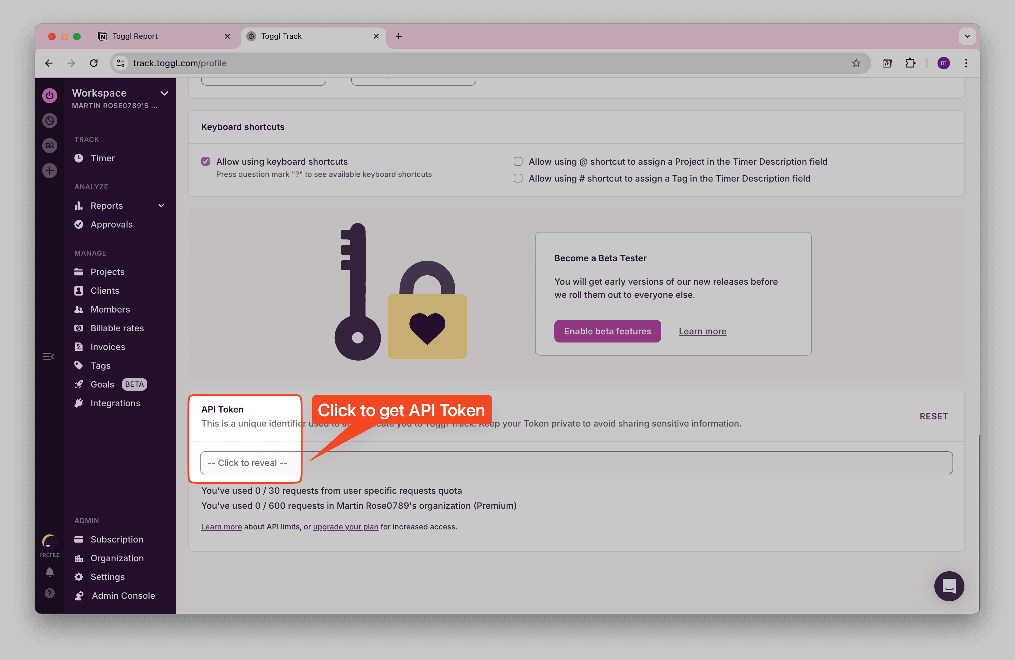 Reveal Toggl API Token