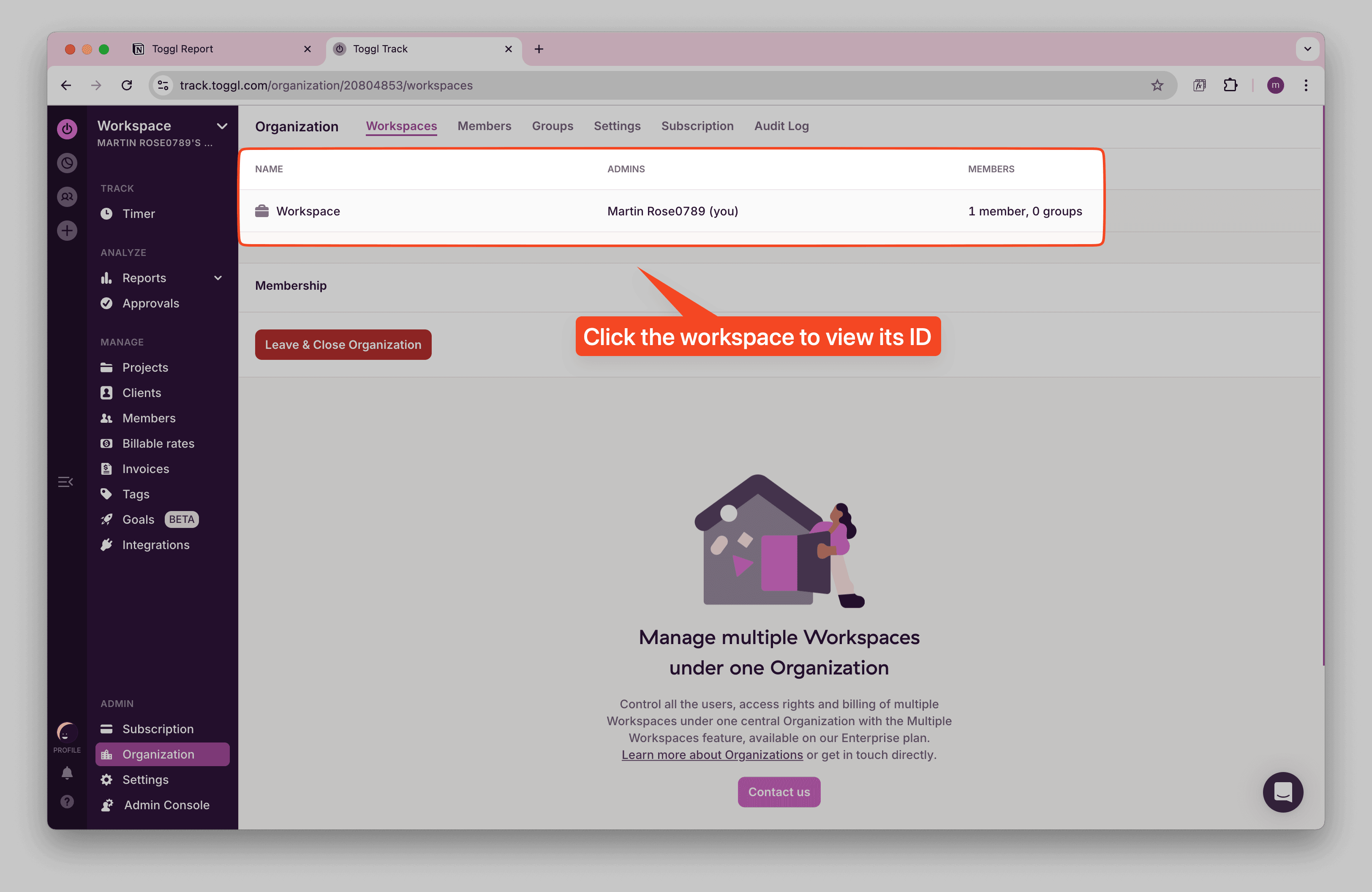 Toggl Workspace List with IDs